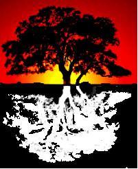 Solid Growth Accounting